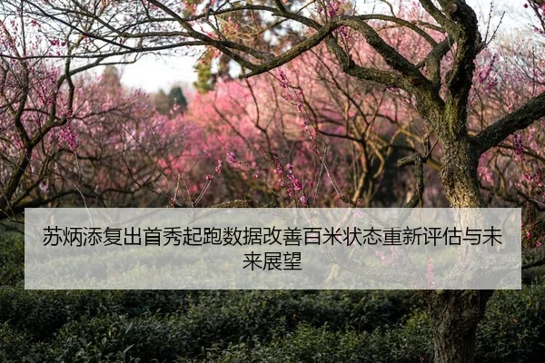 苏炳添复出首秀起跑数据改善百米状态重新评估与未来展望